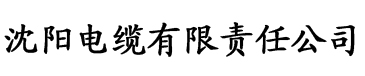 大香蕉在线伊人视频电缆厂logo